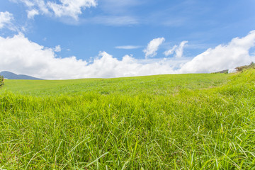 Obraz premium verte campagne, pâturages, Plaine des Cafres, Réunion 