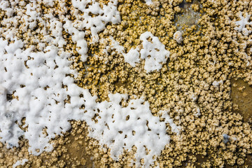 The texture of the salt lake Baskunchak.