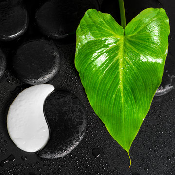 beautiful spa concept of Yin-Yang stone texture and green leaf C