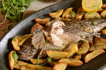 Roasted trout with potatoes in thyme