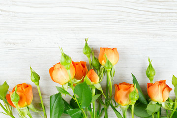 orange roses on wooden surface
