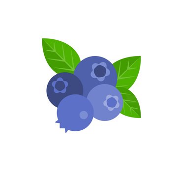 Vector bunch of blueberry, flat design