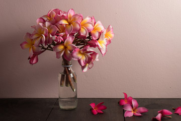 The beautiful pink Plumeria flower on the old wood background st
