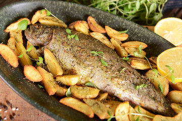 Roasted trout with potatoes in thyme