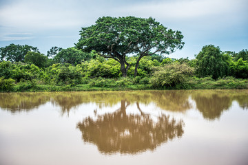 Lake in National Park Yala, Sri Lanka