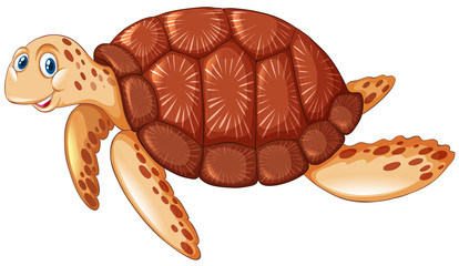 Brown turtle with happy face