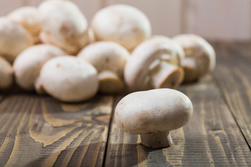 Agaricus stand on table