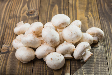 Heap of agaricus