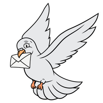 White pigeon is carrying letter
