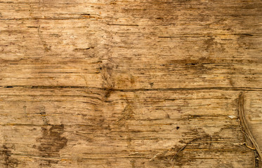 Old wood texture (background). About 200 years under water.