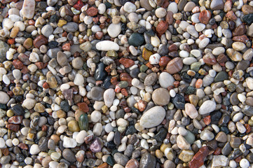 Wet colored pebbles on the sea beach