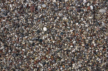 Wet colored pebbles on the sea beach