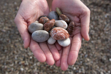 Female hands showing different colors pebbles