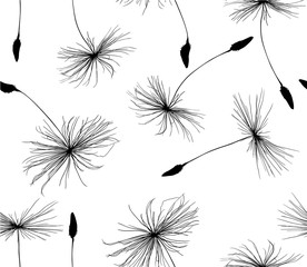 seamless background from black dandelion seeds