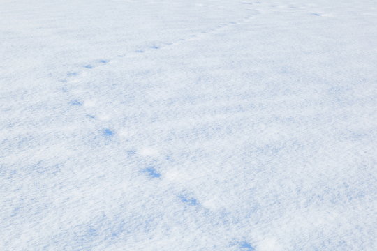 北海道の雪　Snow image