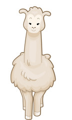 Llama Front © BNP Design Studio