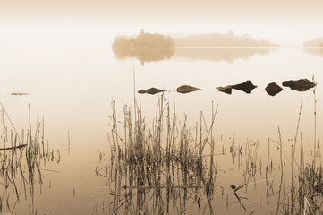 Lough Key Forest Park