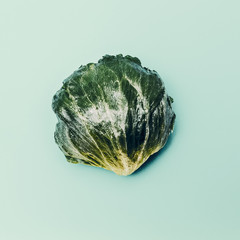 Fresh green salad. minimal style