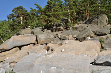 Lake Shore Chebache, State National Natural Park 