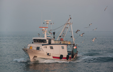 Fototapeta premium ship and gulls, morning