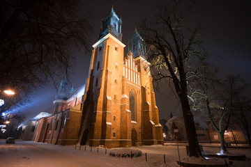 Katedra Poznańska w zimowej scenerii