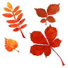 Fototapeta premium Autumn polygonal bright and colorful leaves design