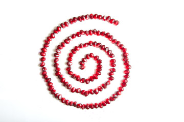 Garnet seeds make spiral composition figure