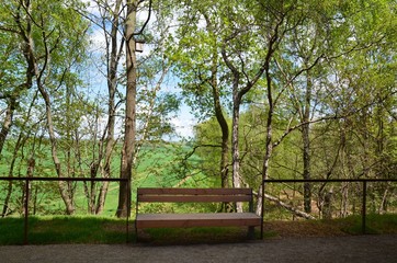 Holzbank in Fr&uuml;hlingslandschaft 