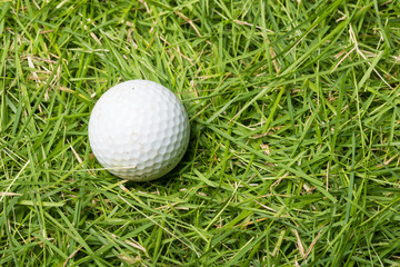 Old golf ball on green grass