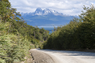 droga do przystani Zaratiegui w Parku Narodowym Ziemi Ognistej w Argentynie © sly10000