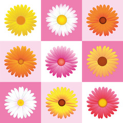 Daisies - variation of pink, yellow and orange flowers for seamless wallpaper pattern. Vector illustration.