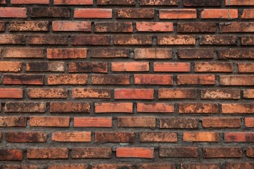 Fototapeta premium Old brick wall textured