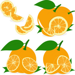 Orange slices, collection of vector illustrations on a transparent background