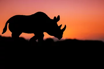 Photo sur Plexiglas Rhinocéros rhinocéros sur fond de coucher de soleil