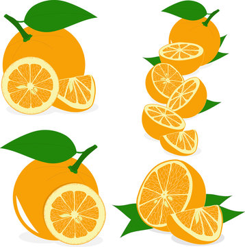 Orange slices, collection of vector illustrations on a transparent background