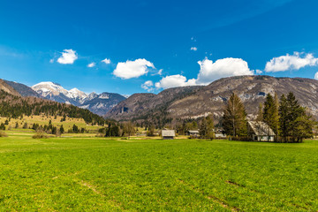Fototapeta na wymiar Rural Landscape With Mountain Near Bohinj-Slovenia