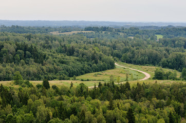 Obraz premium hills with forest covered with mist