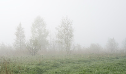 Obraz na płótnie Canvas rural landscape in fog