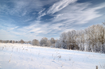 winter countyside view