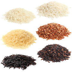 Selection of various rice