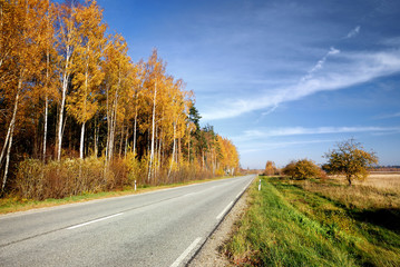 country road in fall season. Latvia