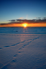 Obraz premium colorful sunset at the snowy Baltic sea shore
