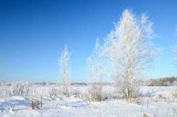 Fototapeta na wymiar winter countryside view
