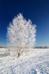 Obraz na płótnie Canvas winter countryside view