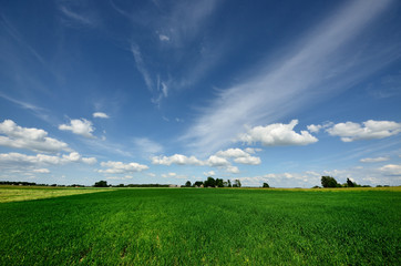 classic rural landscape. Green field against blue sky