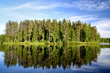 Fototapeta na wymiar lake in the forest with reflection