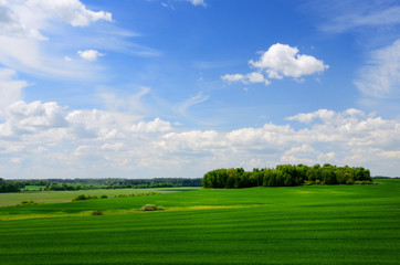 classic rural landscape. Green field against blue sky