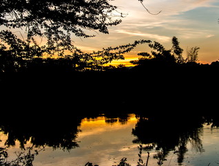 Fototapeta na wymiar Sunset with silhouette tree