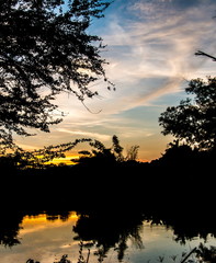 Obraz na płótnie Canvas Sunset with silhouette tree