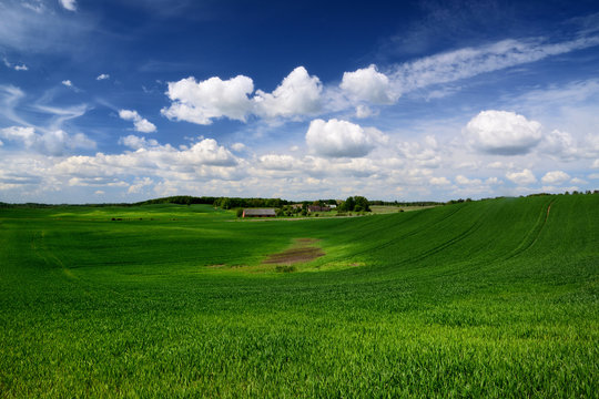 classic rural landscape. Green field against blue sky
